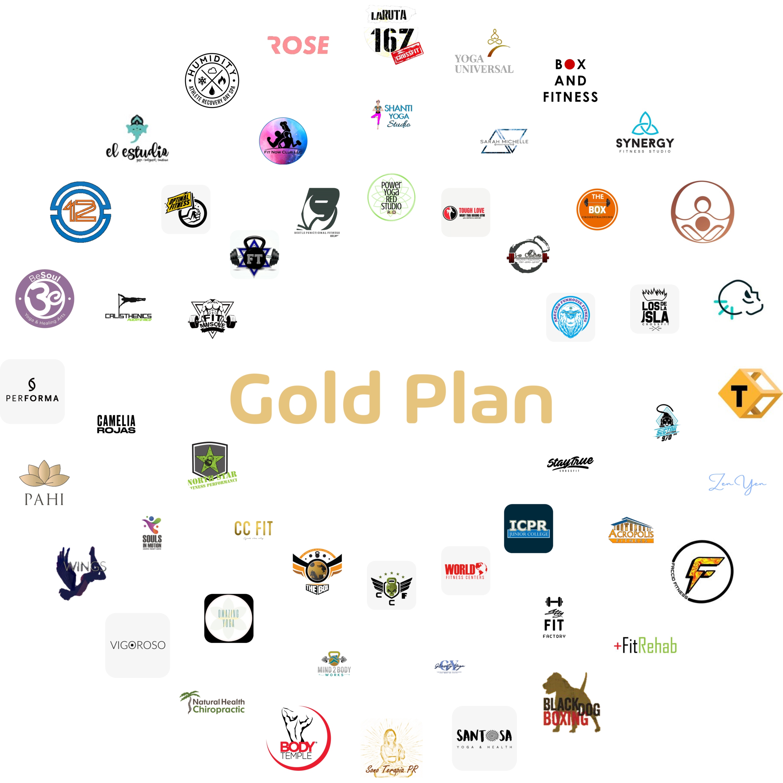 Fvz Gold Plan