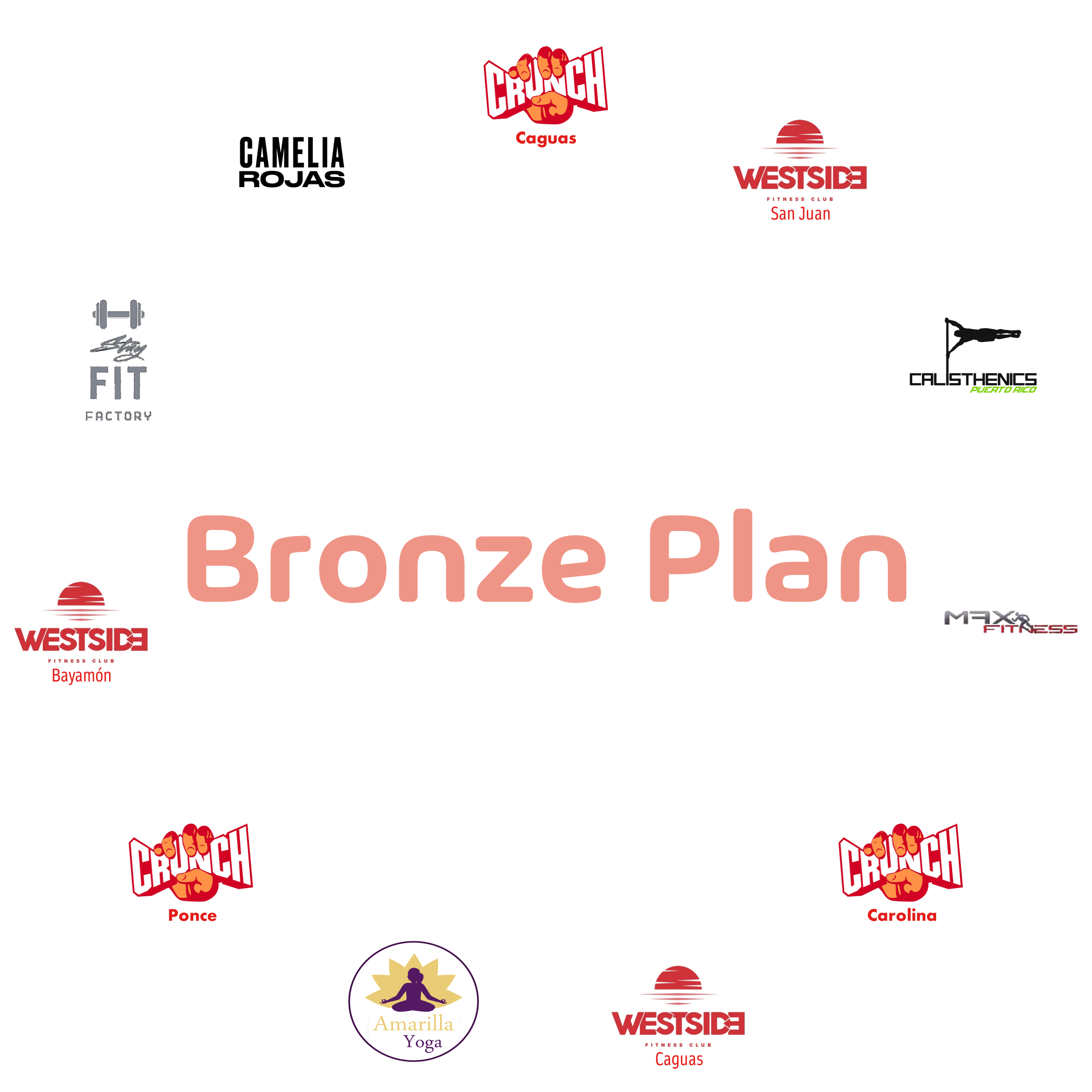 Bronze Plan